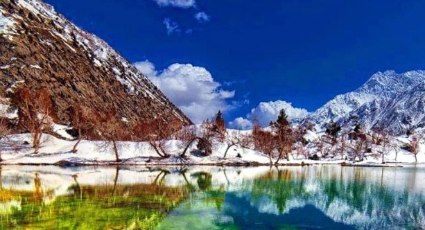 Naltar Valley: top 10 Best Places to Visit in Pakistan, Tourism in Pakistan