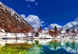 Naltar-Valley, Top 10 Best Natural Places To Visit In Pakistan, Tourism In Pakistan, Most Beautiful Places In Pakistan, Pakistani Tourist Spots, Natural Beauty Of Pakistan